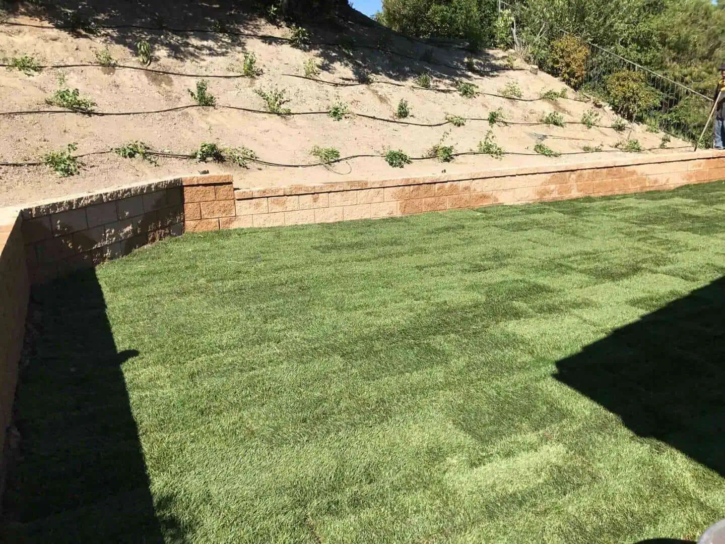 A lawn that has been cut and is ready for the grass.