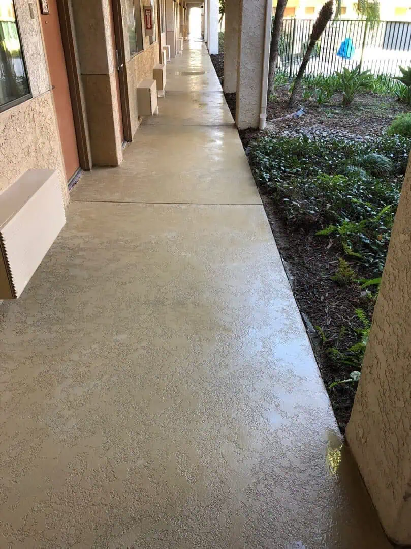 A walkway with plants and bushes in the background.