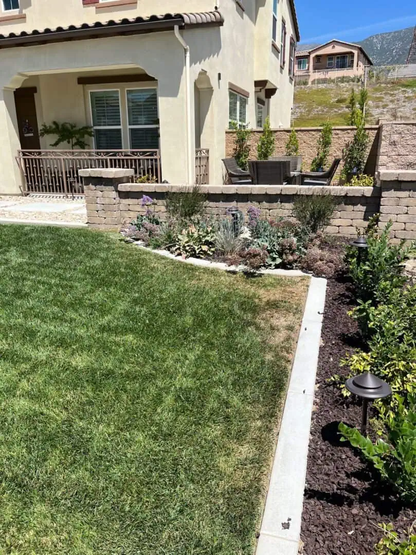 A backyard with a lawn and garden in it