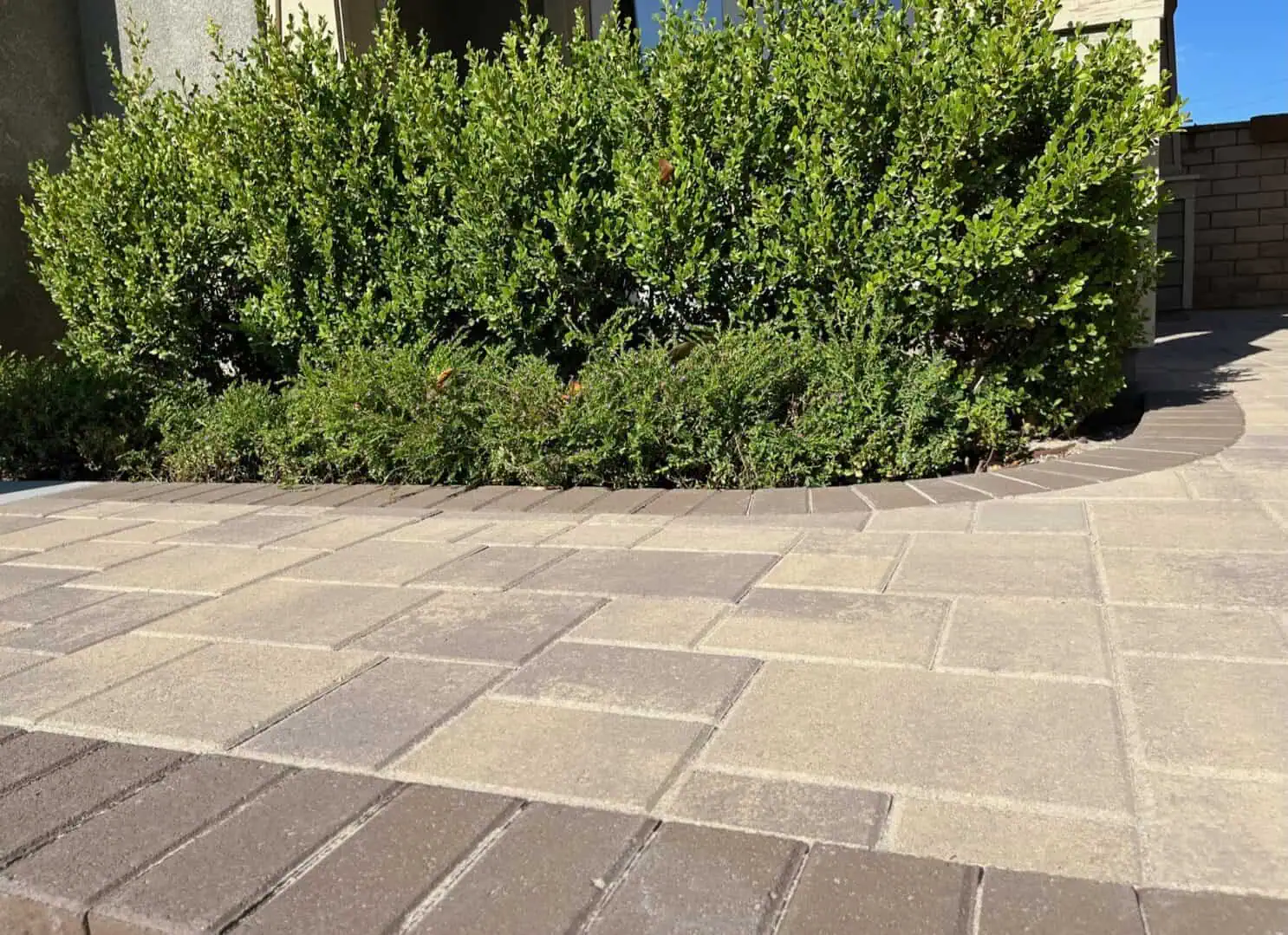 A brick walkway with bushes in the background.