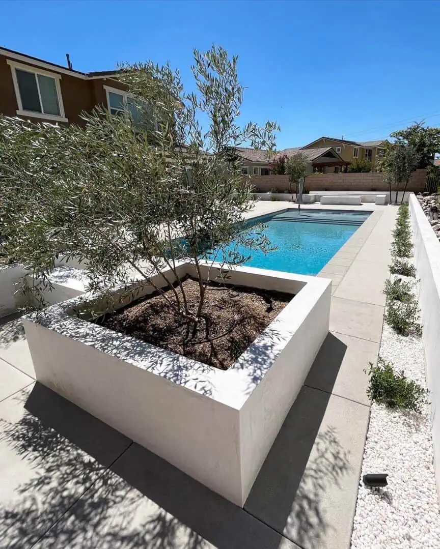A pool with a tree in the middle of it
