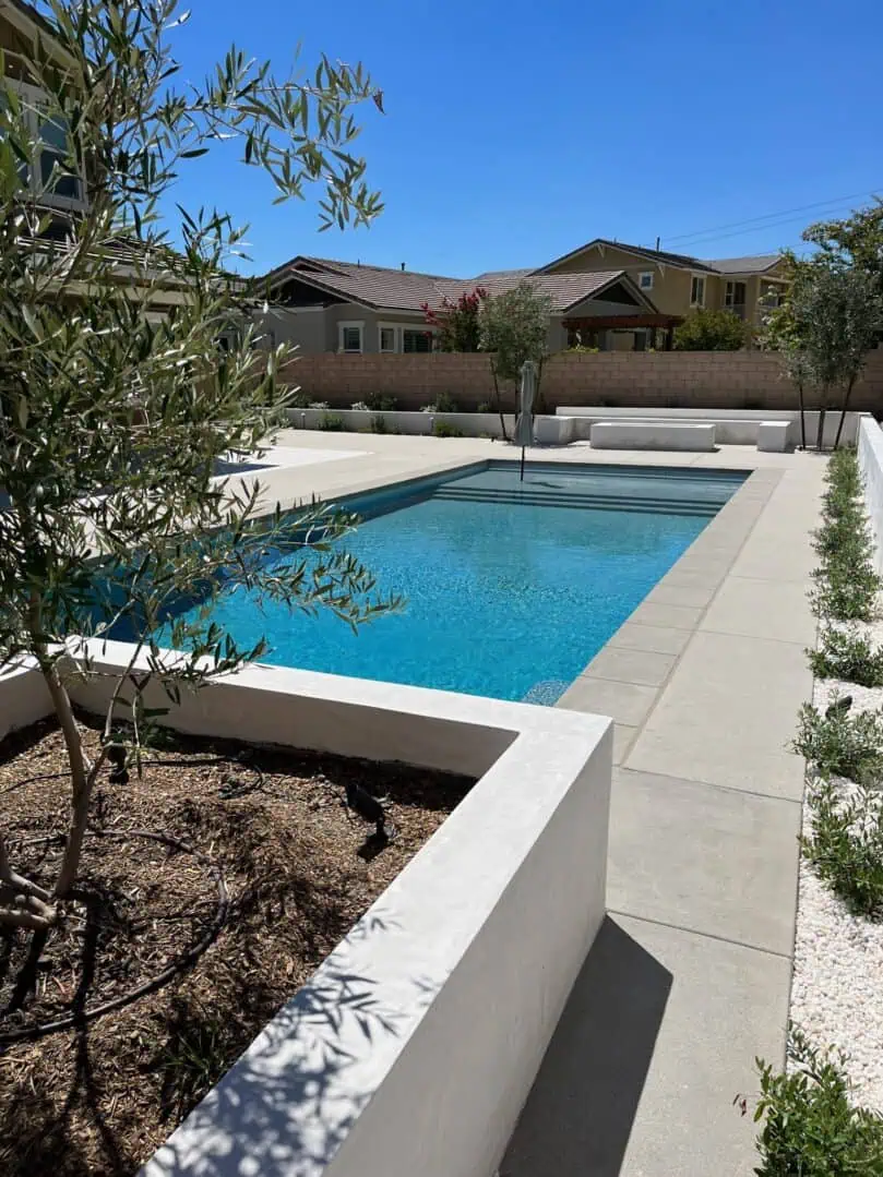 A pool with a lot of plants in it