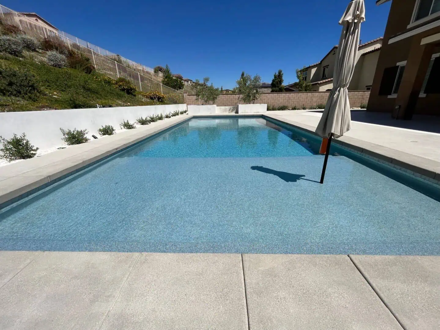 A pool with an umbrella and plants in the background.