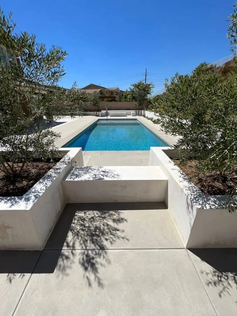 A pool with trees and bushes around it