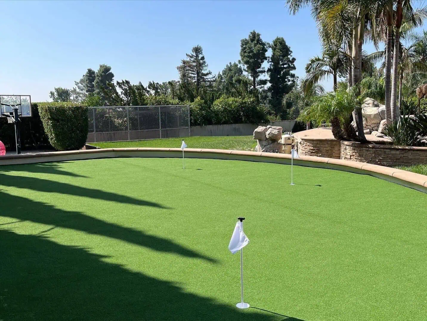 A golf course with a putting green and a palm tree.