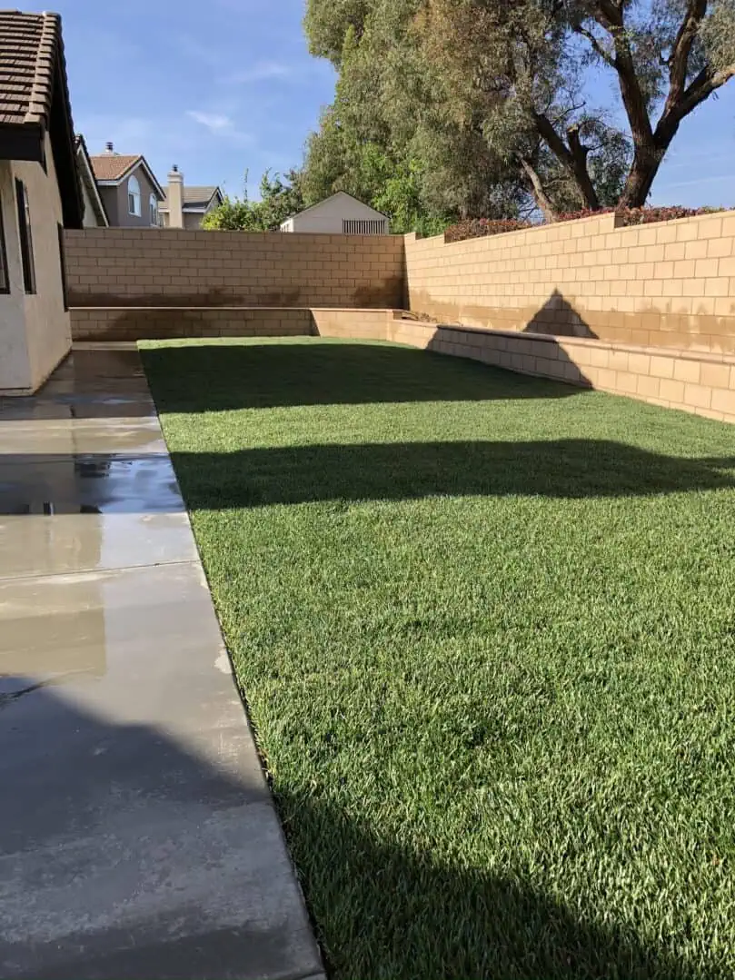 A backyard with grass and water in it