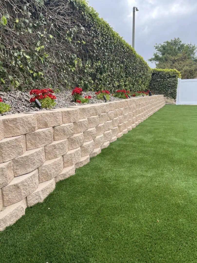 A wall of flowers and grass in the middle of a yard.