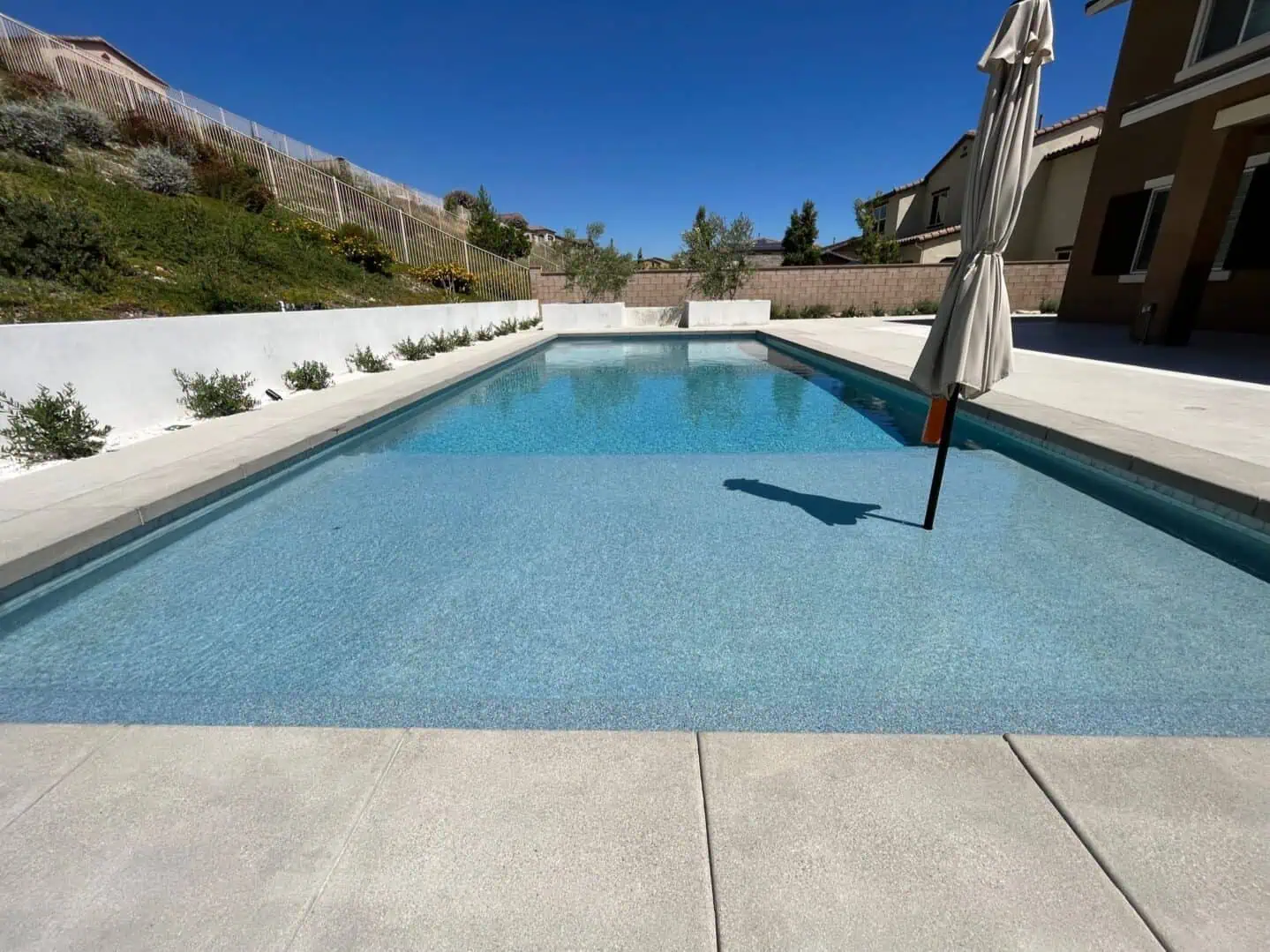 A pool with an umbrella and plants in the background.