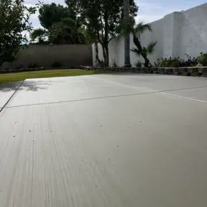 Garden with concrete patio and trees.
