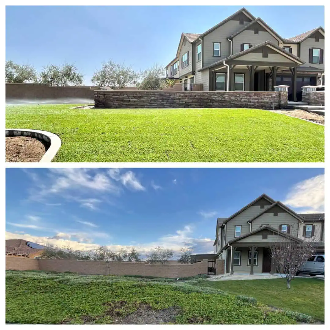 Lawn and house before and after improvement.