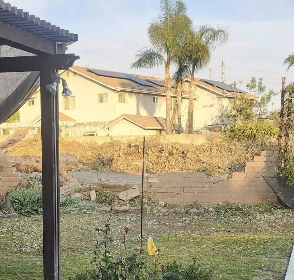 Backyard with a swing hanging from a branch and houses in the background.