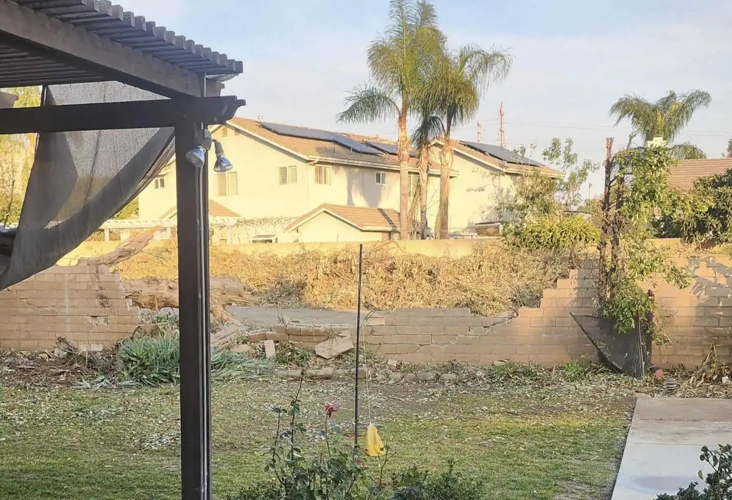 Backyard with a swing hanging from a branch and houses in the background.